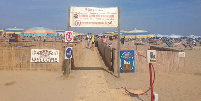 dog beach lidi e spiagge per cani