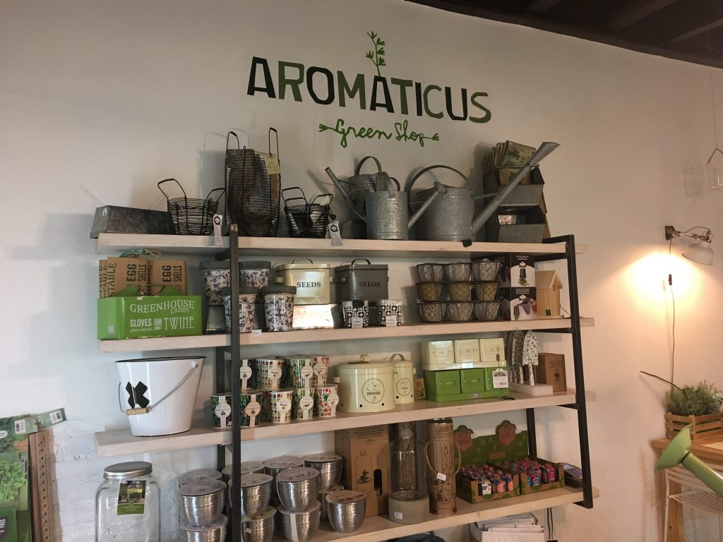 aromaticus