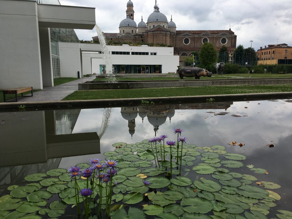 Orto botanico di Padova, splendido sito Unesco