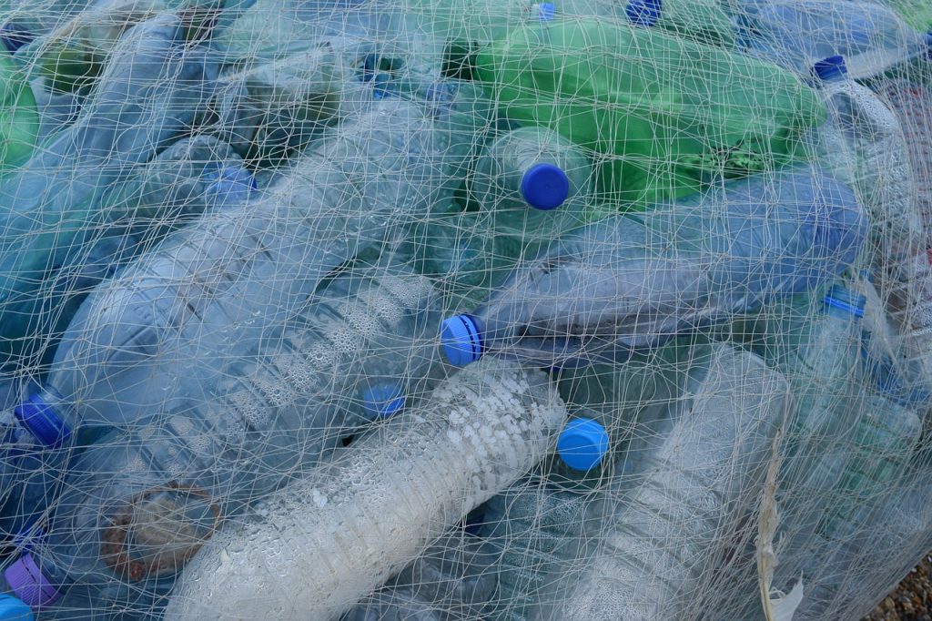 Animali marini e spiagge a rischio plastica e inquinamento