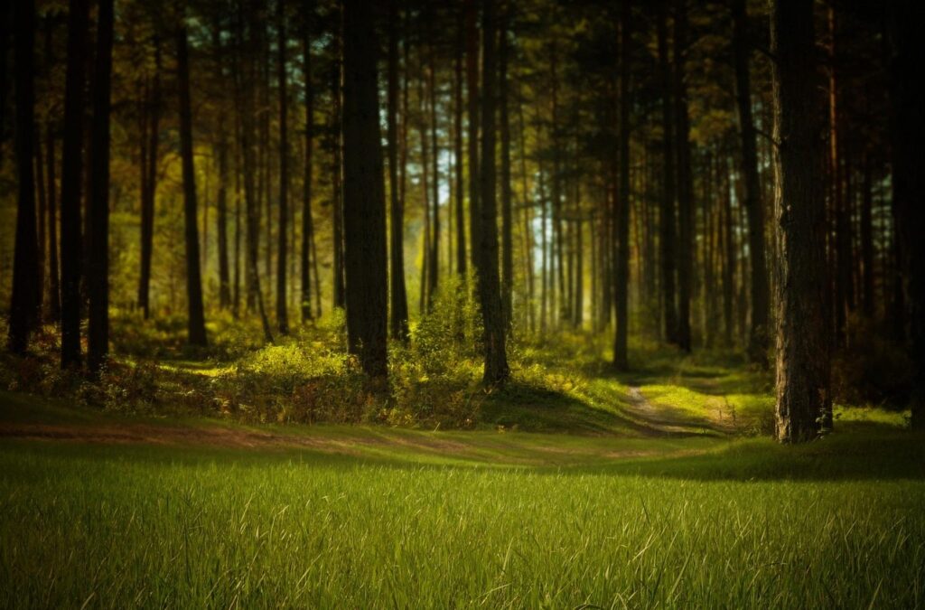Crisi climatica e salute mentale: l’onda invisibile dell’eco-ansia